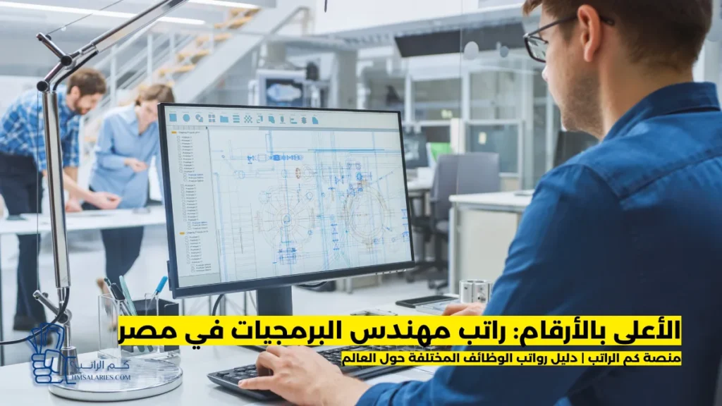 راتب مهندس البرمجيات في مصر