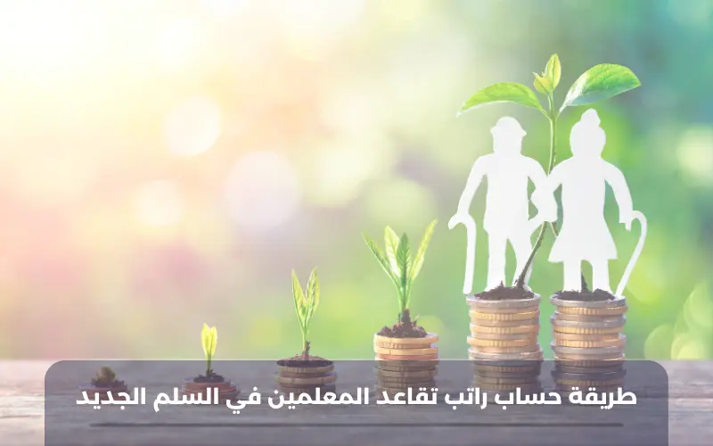 طريقة حساب راتب تقاعد المعلمين في السلم الجديد